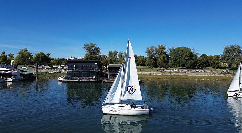 Fondacija Mozzart tokom prethodne godine brojnim akcijama ispisala zeleni trag